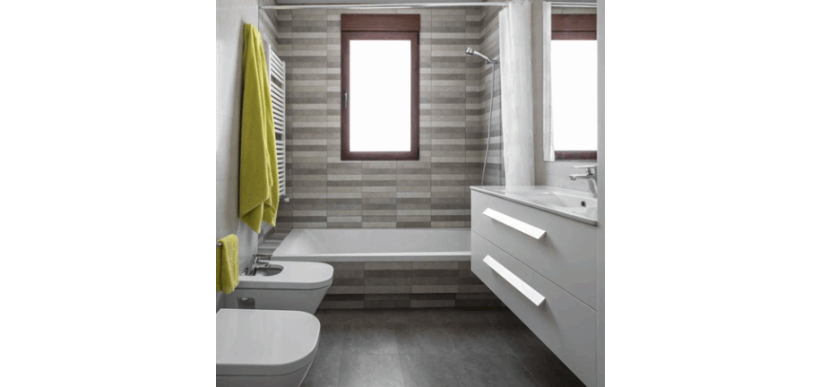 proyecto en baños