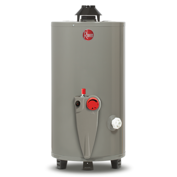Calentador de Depósito Gas LP Gris 49 L