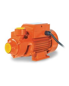 Bomba Periférica 0.5 HP 1X1 110V Evans