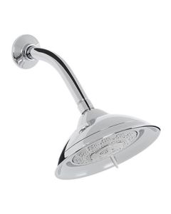 Regadera multichorro cromo gris 7"