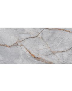Piso Porcelánico Adriano 60 x 120 cm Gris Brillante Rectificado Tendenzza - CAJA con 2.16 m²