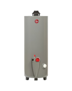 Calentador de Depósito Gas LP Gris 76 L