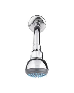 Regadera de Cebolla 2 1/2" con Brazo y Chapetón Cromo Dica