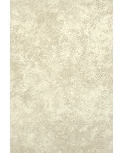 Azulejo Roma 20.1 x 30.2 cm Hueso - CAJA con 1.82 m²