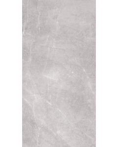 Piso Living 50 x 100 cm Gris Rectificado - CAJA con 2.00 m²