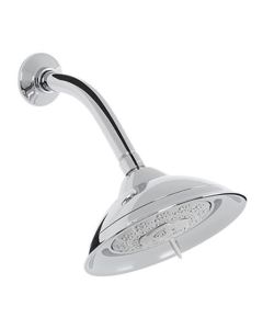 Regadera multichorro cromo gris 7"