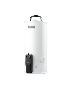 Calentador Calorex Fortis de Depósito G10 LP