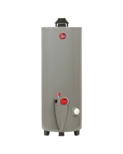 Calentador de Depósito Gas LP Gris 76 L