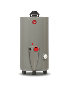 Calentador de Depósito Gas LP Gris 49 L