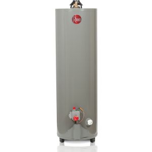 Calentador de Depósito Gas LP 152 L