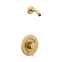 Juego de Manija y Brazo para Regadera de Oro Cepillado Align