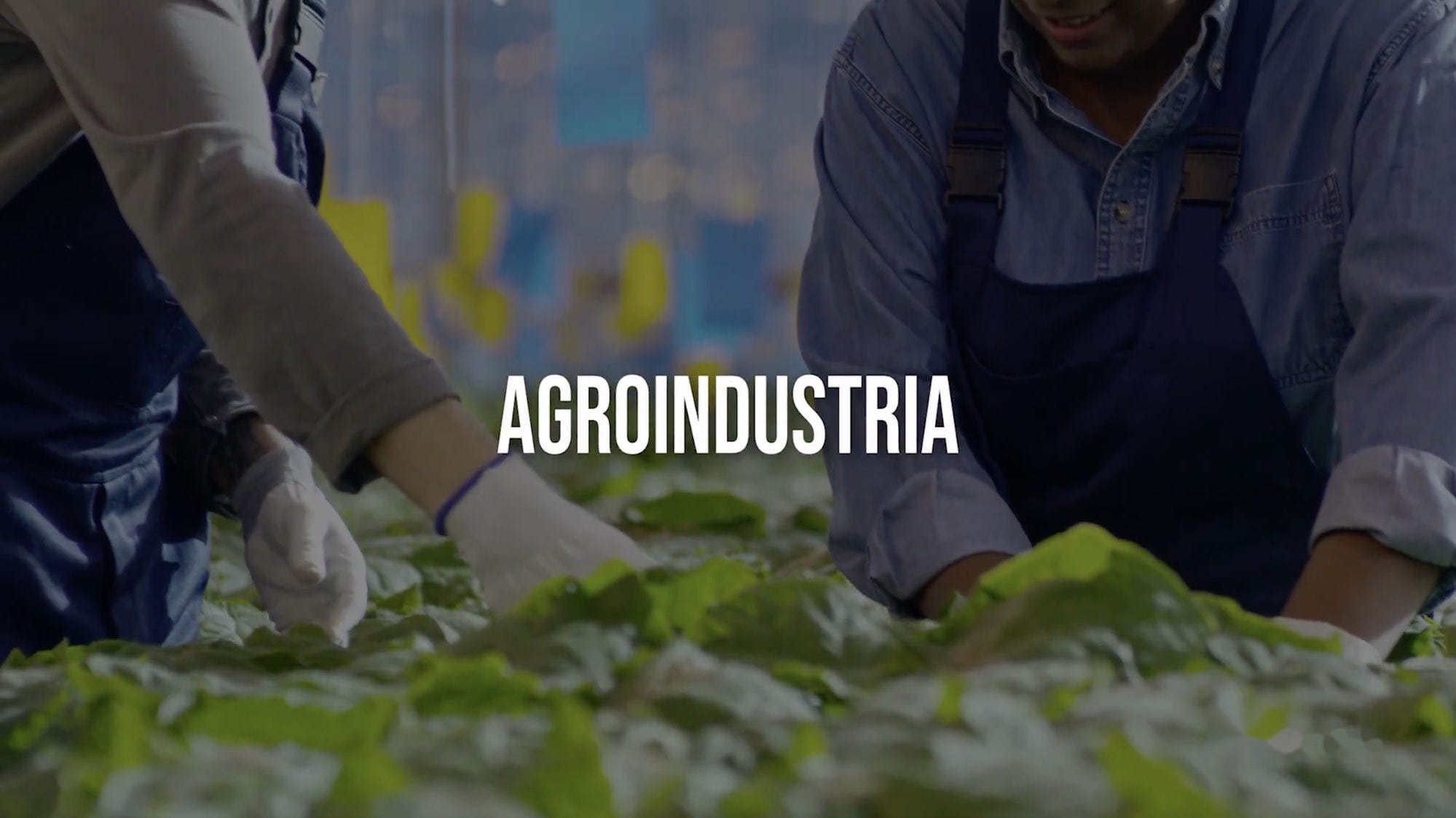Proyectos para agroindustria