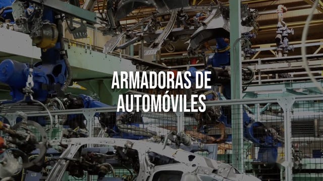 Plantas armadoras