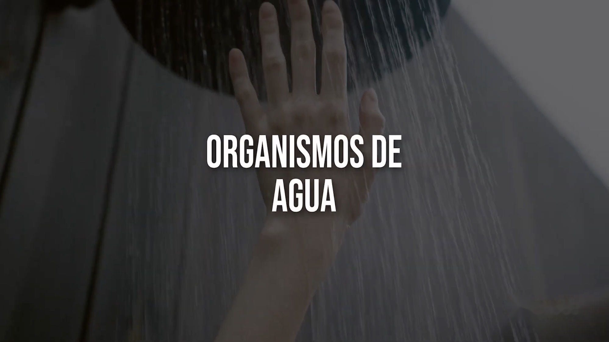 Proyectos para organismos de agua
