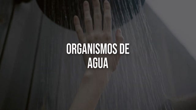 Organismos de agua