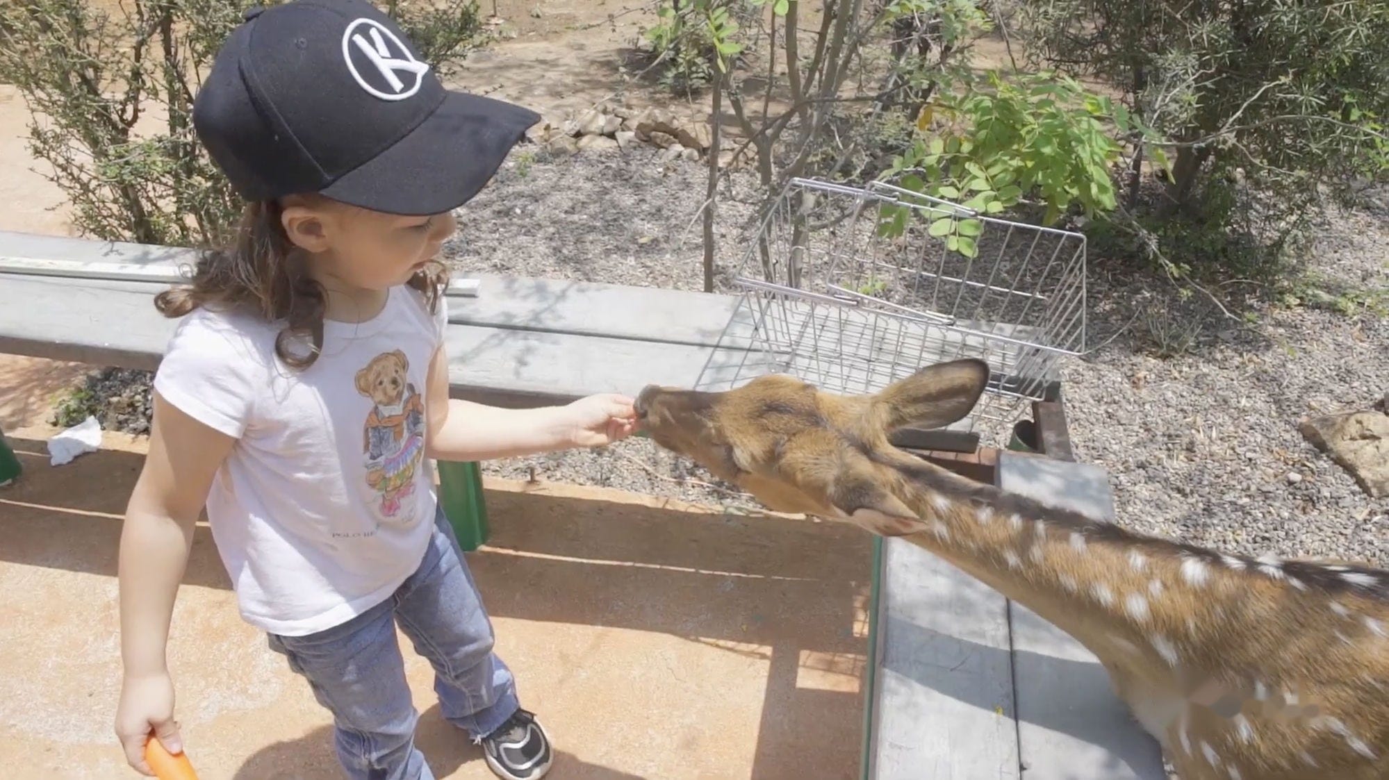 Niña acariciando un venado en un espacio comunitario apoyado por Kuroda